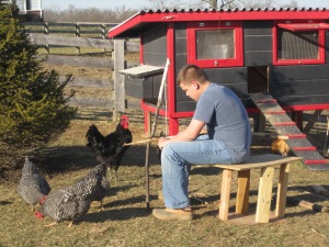 Trenton with Chickens